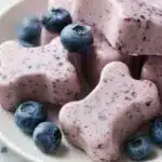 Blueberry & Coconut Oil Gummy Dog Treat Recipe