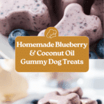 Blueberry & Coconut Oil Gummy Dog Treat Recipe
