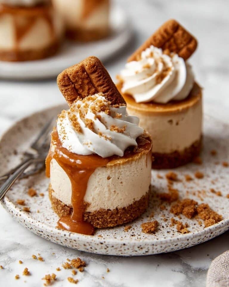 No Bake Mini Biscoff Cheesecakes Recipe
