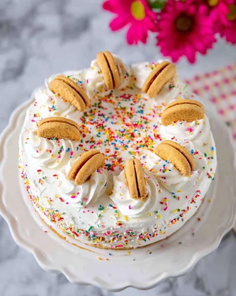 No Bake Birthday Cheesecake (Vegan Option) Recipe