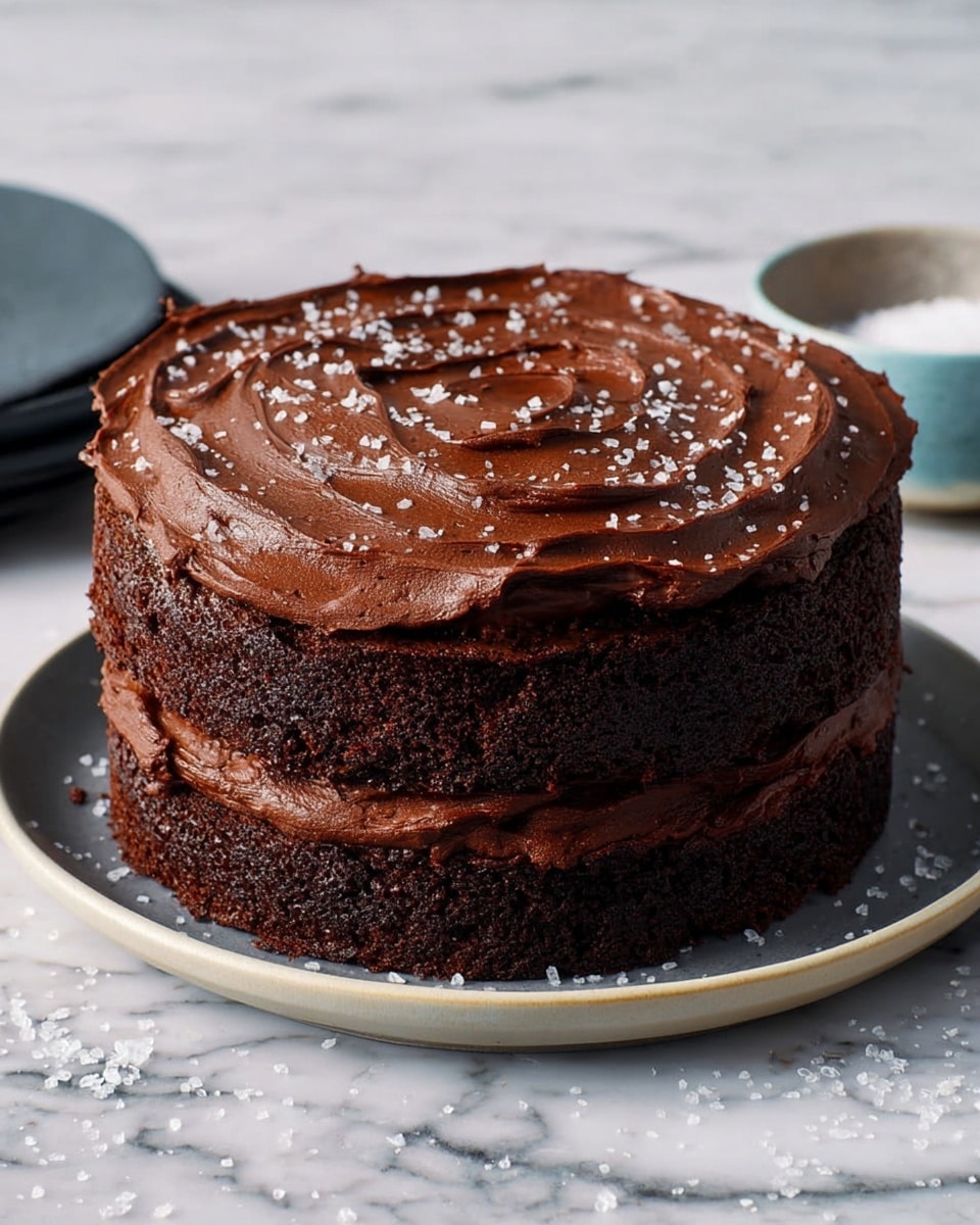 A two-layer round chocolate cake sits on a white plate, each layer made of dark brown, moist chocolate sponge. Between the layers is a thick layer of smooth, glossy dark chocolate frosting. The cake's top is covered with a thick swirl of the same dark chocolate frosting, textured with soft waves, and lightly sprinkled with coarse white salt flakes for contrast. The cake is presented on a white marbled surface, with some salt flakes scattered around and soft natural light highlighting the cake's rich textures. Photo taken with an iphone --ar 4:5 --v 7